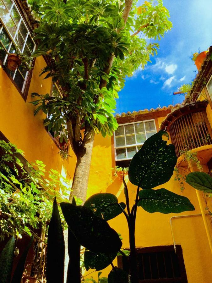 Casa Alves, Ultimo Tercio S. XVI Apartamento Santa Cruz de la Palma  Exterior foto